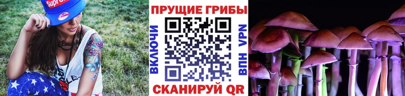 Псилоцибиновые грибы мицелий  мега как войти  Красноармейск  наркота 