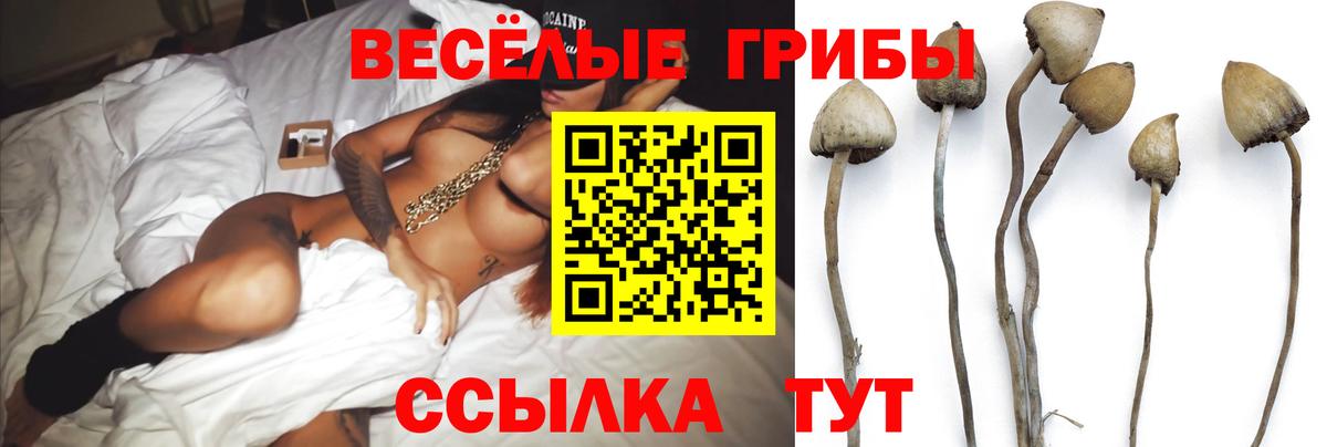 купить  цена  Галлюциногенные грибы мицелий  Вход с VPN  Красноармейск 